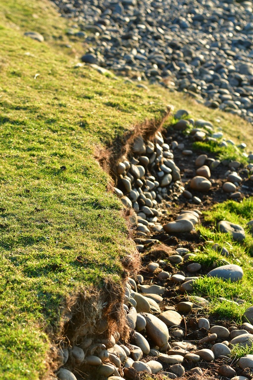 2018-11 Scotland/Talisker/DSC_7393.JPG